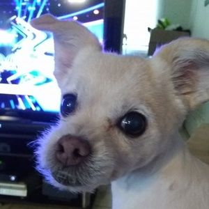 Meet your Posher, Louise